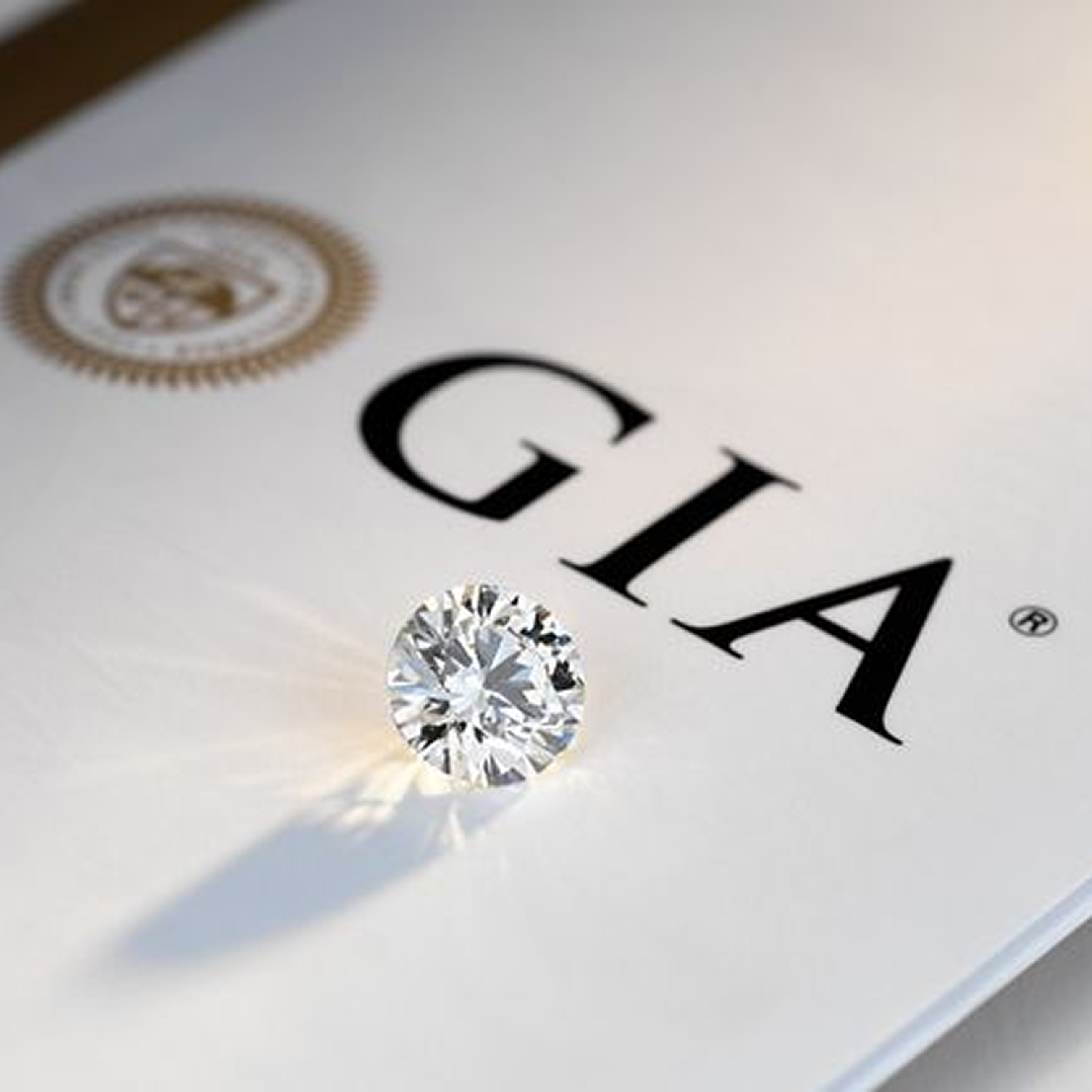 Diamant Zertifikat wird von einem Experten geprüft