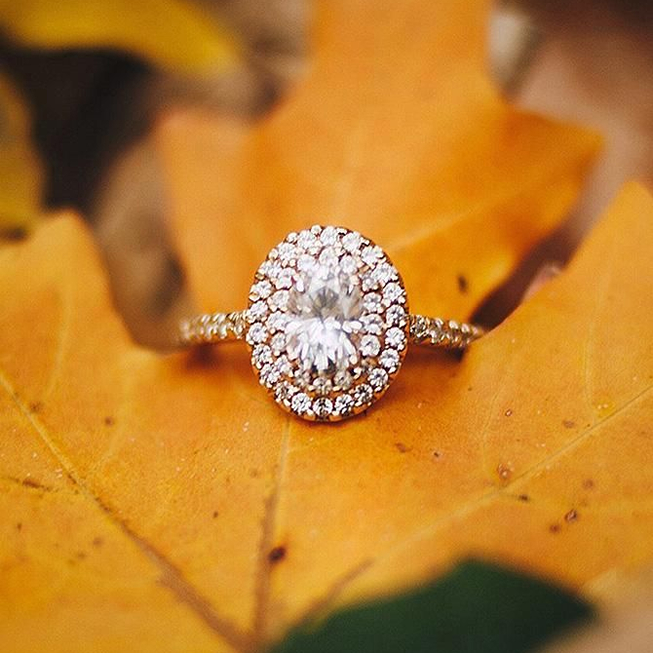 Paar bei einem Herbstspaziergang im Freien während eines Heiratsantrags